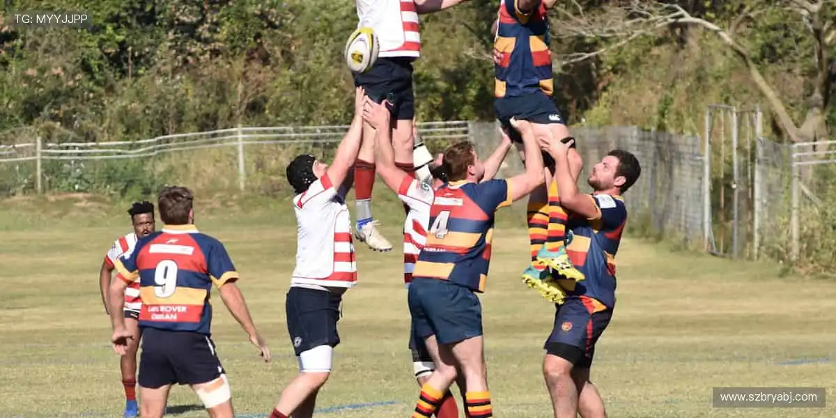 珍藏热爱,从这里开始!🎁🌟